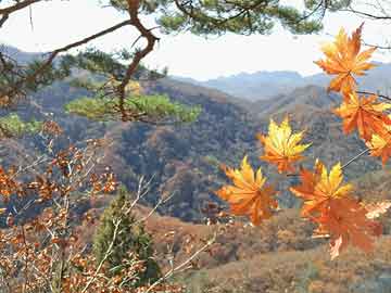 桃花流水醉中归——中国古代性事与处子之身的谜解