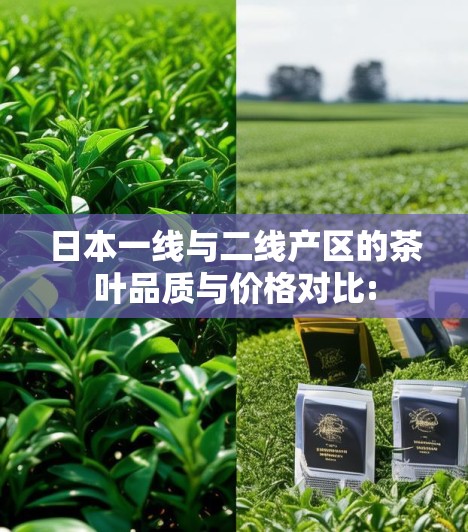 日本一线与二线产区的茶叶品质与价格对比: