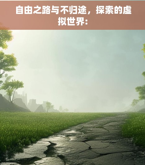 自由之路与不归途，探索的虚拟世界: