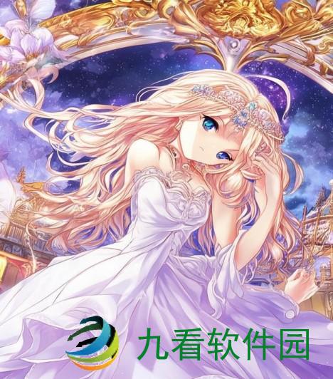 将军上公主的盛大场面描写王爷在花轿里就开始圆房的小说