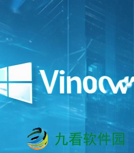国内CHEAPWINDOWSVPS的优质选择与使用攻略国内知名咨询公司