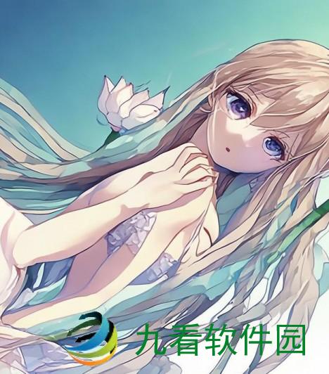 一朵莲花两边翻夹住的美丽瞬间与内心的宁静探寻